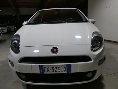 Fiat Punto 1.2 8V 5 porte Lounge usata