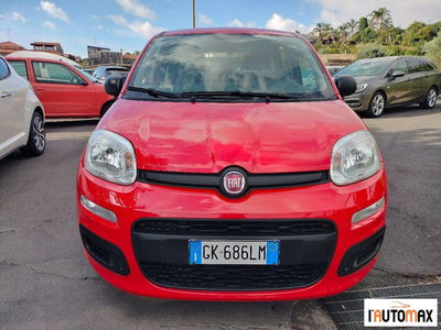 Fiat Panda 1.0 firefly hybrid Pop s&s 70cv usata