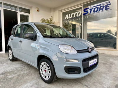 Fiat Panda 1.2 Easy usata