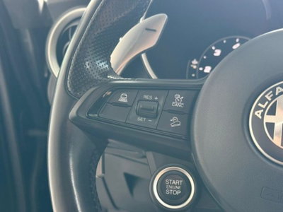 Alfa Romeo Stelvio Stelvio 2.2 Turbodiesel 190 CV AT8 Q4 Sprint (18)