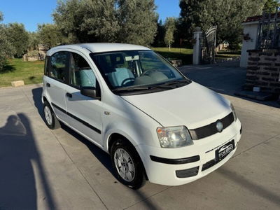 Fiat Panda 1.2 Dynamic GPL usata