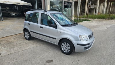 Fiat Panda 1.2 Alessi usata