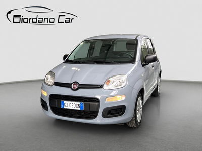 Fiat Panda Cross Cross 1.0 FireFly S&S Hybrid usata