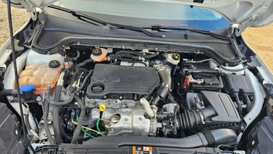 Ford Focus 1.5 EcoBlue 120 CV automatico 5p. Business Co-Pilot (14)