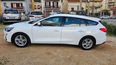 Ford Focus 1.5 EcoBlue 120 CV automatico 5p. Business Co-Pilot (2)