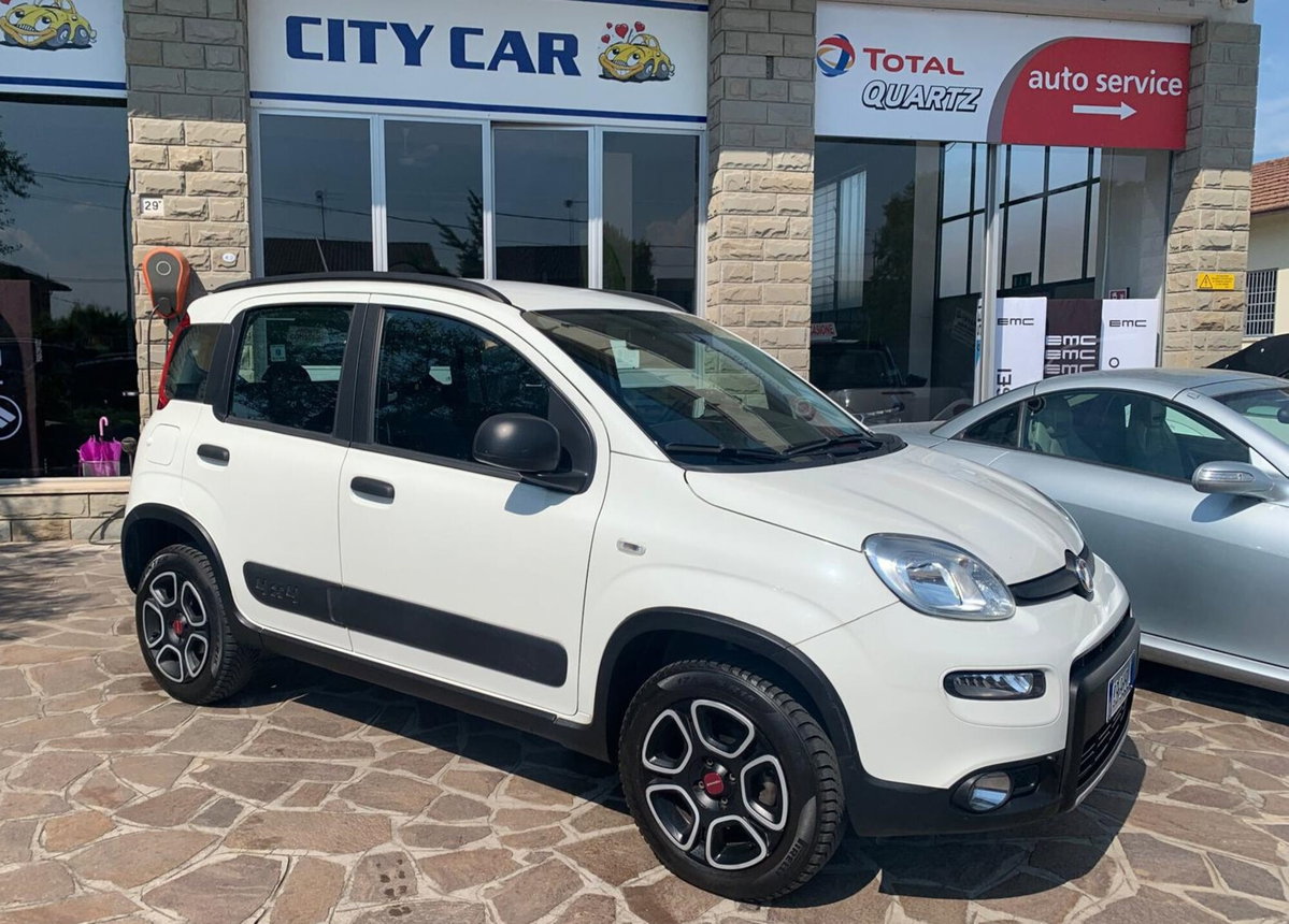 Fiat Panda 0.9 TwinAir Turbo S&S 4x4 Wild (2)