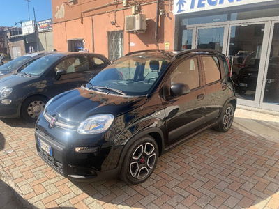Fiat Panda 1.0 FireFly S&S Hybrid City Cross usata