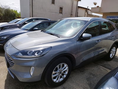 Ford Kuga 1.5 EcoBlue 120 CV 2WD Titanium usata