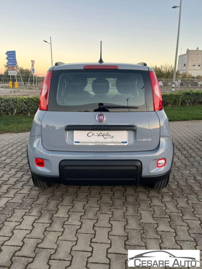 Fiat Panda 1.0 firefly hybrid s&s 70cv 5p.ti (4)