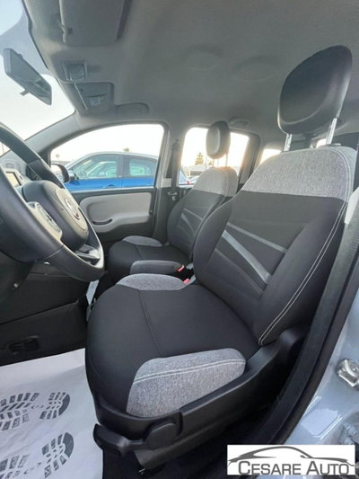 Fiat Panda 1.0 firefly hybrid s&s 70cv 5p.ti (6)