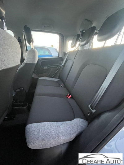 Fiat Panda 1.0 firefly hybrid s&s 70cv 5p.ti (8)