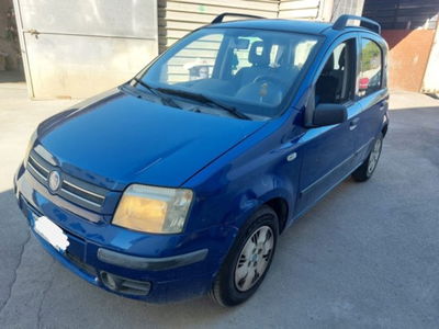 Fiat Panda 1.2 Dynamic usata