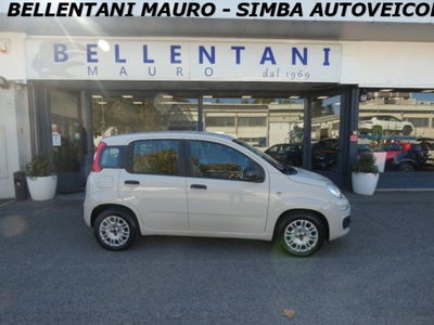 Fiat Panda 1.2 Easy usata