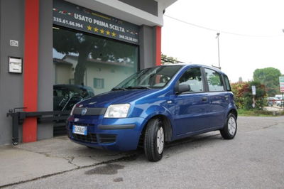 Fiat Panda 1.1 Active usata