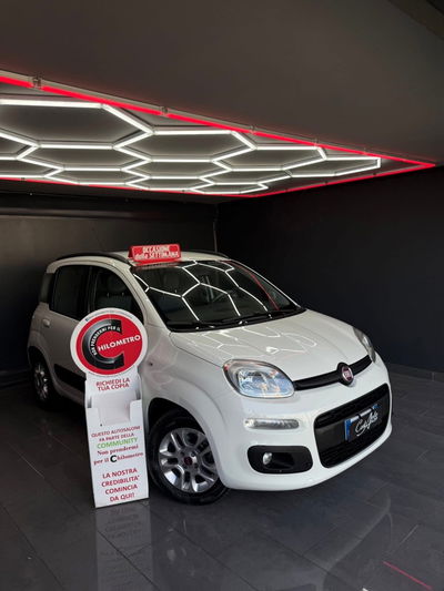 Fiat Panda 1.2 Lounge usata
