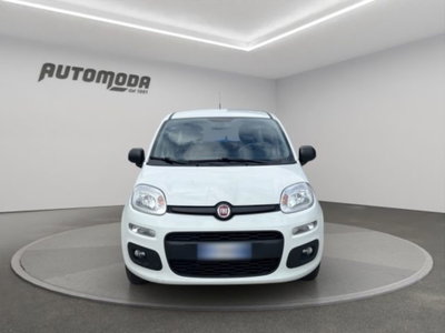 Fiat Panda 1.2 Easy (2)