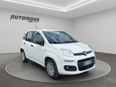Fiat Panda 1.2 Easy (3)