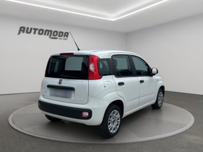 Fiat Panda 1.2 Easy (4)