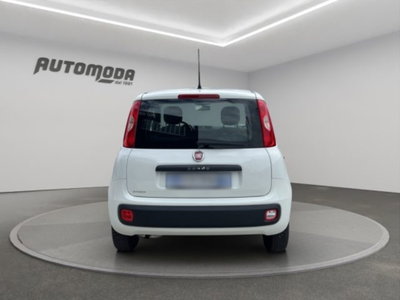 Fiat Panda 1.2 Easy (5)