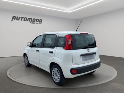 Fiat Panda 1.2 Easy (6)