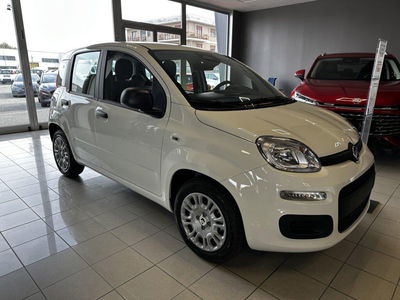 Fiat Panda Cross Cross 1.0 FireFly S&S Hybrid nuova