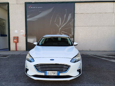 Ford Focus Station Wagon 1.5 EcoBlue 120 CV automatico SW Business usata
