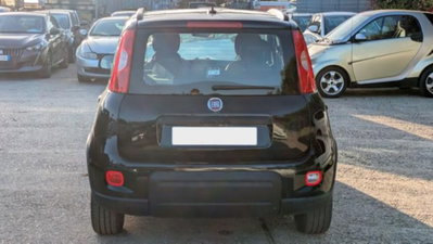 Fiat Panda 1.0 firefly hybrid s&s 70cv 5p.ti (11)