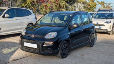 Fiat Panda 1.0 firefly hybrid s&s 70cv 5p.ti usata