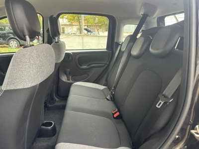 Fiat Panda 1.0 firefly hybrid s&s 70cv 5p.ti (12)