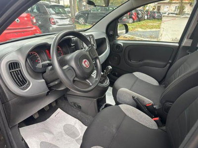 Fiat Panda 1.0 firefly hybrid s&s 70cv 5p.ti (4)