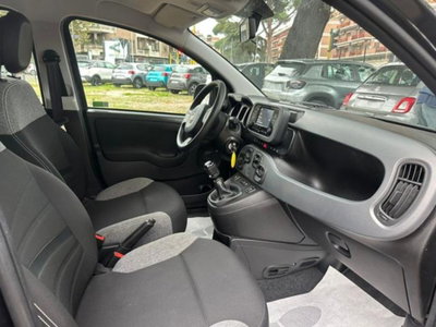 Fiat Panda 1.0 firefly hybrid s&s 70cv 5p.ti (7)