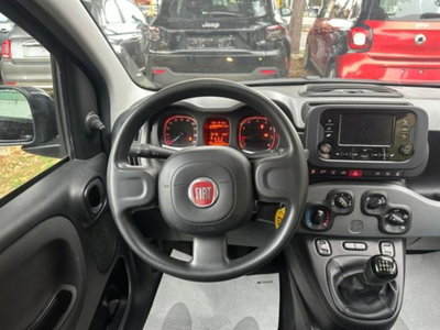 Fiat Panda 1.0 firefly hybrid s&s 70cv 5p.ti (8)