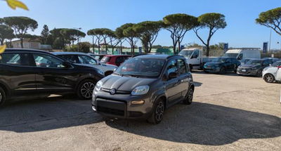 Fiat Panda 1.0 firefly hybrid s&s 70cv usata