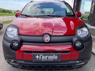 Fiat Panda 1.0 firefly hybrid s&s 70cv 5p.ti nuova