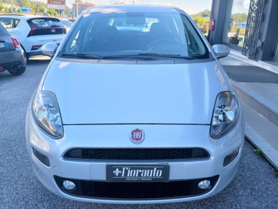 Fiat Punto 1.2 8V 5 porte Lounge usata