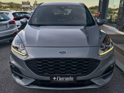 Ford Kuga 1.5 EcoBlue 120 CV 2WD ST-Line usata