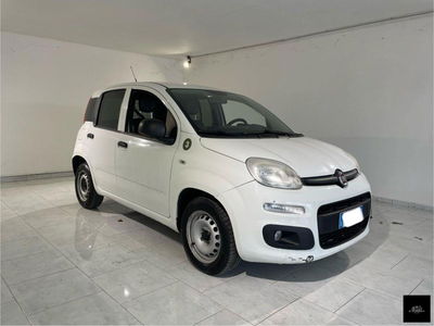 Fiat Panda 1.3 MJT S&S Easy usata