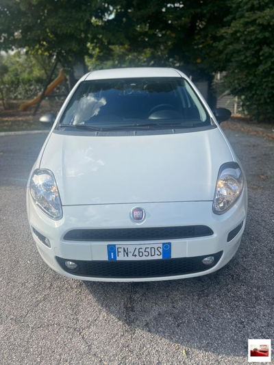 Fiat Punto 1.3 MJT II S&S 95 CV 5 porte Street usata