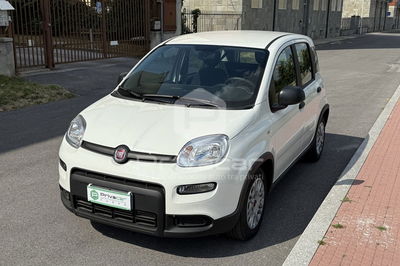 Fiat Panda Cross Cross 1.0 FireFly S&S Hybrid usata