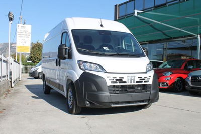Fiat Ducato Furgone 35 2.2 Mjt 140CV PLMX-TM Maxi HD