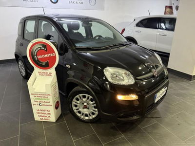 Fiat Panda 1.0 firefly hybrid s&s 70cv 5p.ti usata