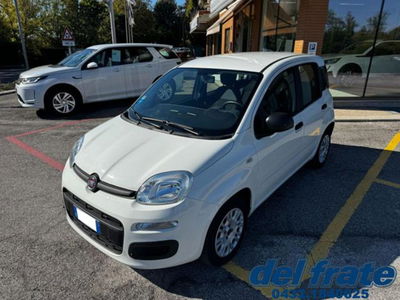 Fiat Panda 1.2 Easy usata
