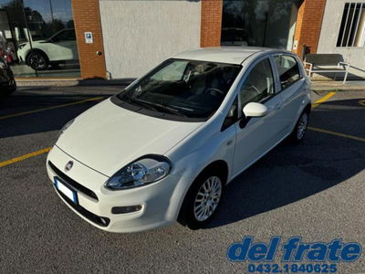 Fiat Punto 1.3 MJT II S&S 95 CV 5 porte Street usata
