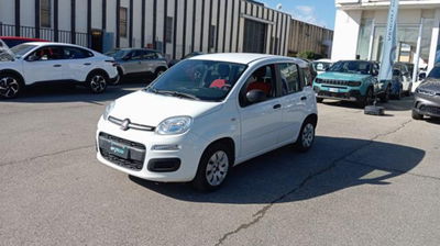 Fiat Panda 1.2 Pop usata