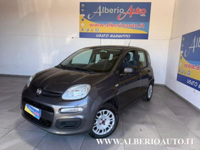 Fiat Panda 1.2 Easy usata
