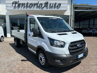Ford Transit transit 350 tr.post. 2.0 tdci 170cv trend L4 Scattolini cassone fisso r.gem. usato