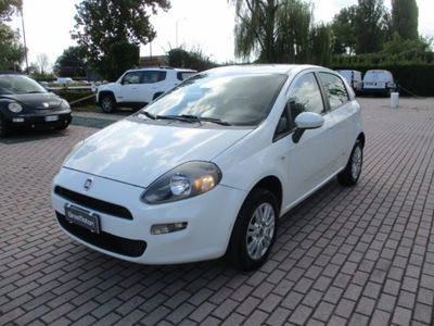 Fiat Punto 1.4 8V 5 porte Natural Power Virgin Radio usata