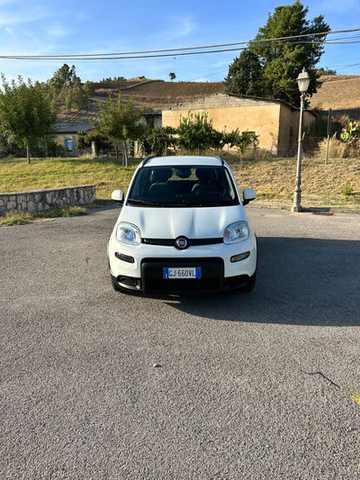 Fiat Panda 1.0 FireFly S&S Hybrid City Cross usata