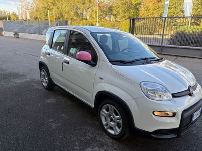 Fiat Panda 1.0 FireFly S&S Hybrid usata