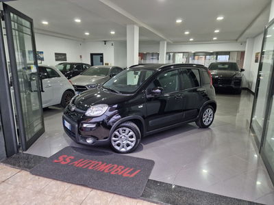 Fiat Panda 1.0 FireFly S&S Hybrid usata